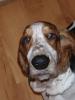 Charlie