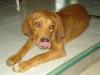 candice!                                                            by michael jericho quines, Narra, Palawan , Philippines