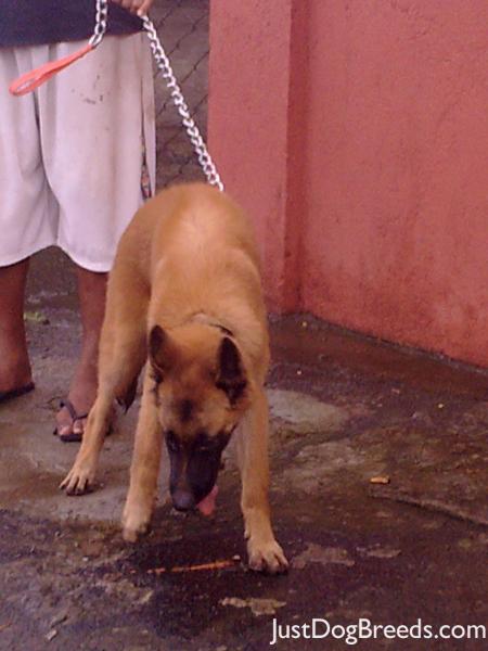 Garth @ 5 mos. old daet,cn