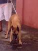 Garth @ 5 mos. old daet,cn