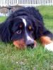 Riley