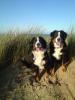 Bella and Leah