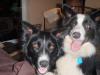 jess and jim