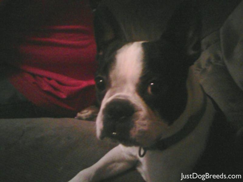 Dopey