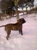 Roxy