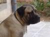 JACK