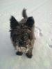 Monty