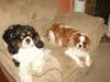 cassie and kane