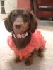 Lola Isabell