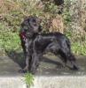 Millie