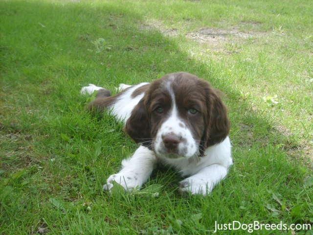 Chloe