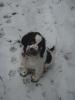 Monty