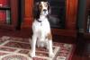 Buster