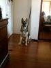 Bruce
