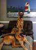 Juno and Hans