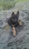 Rosie Olive