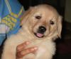 HATCHI