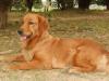 sweety