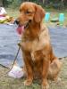 sweety