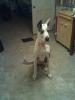 Trixy