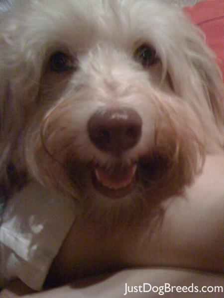 Monty