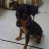 Chispita (Sparky)