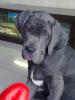 TUFFY