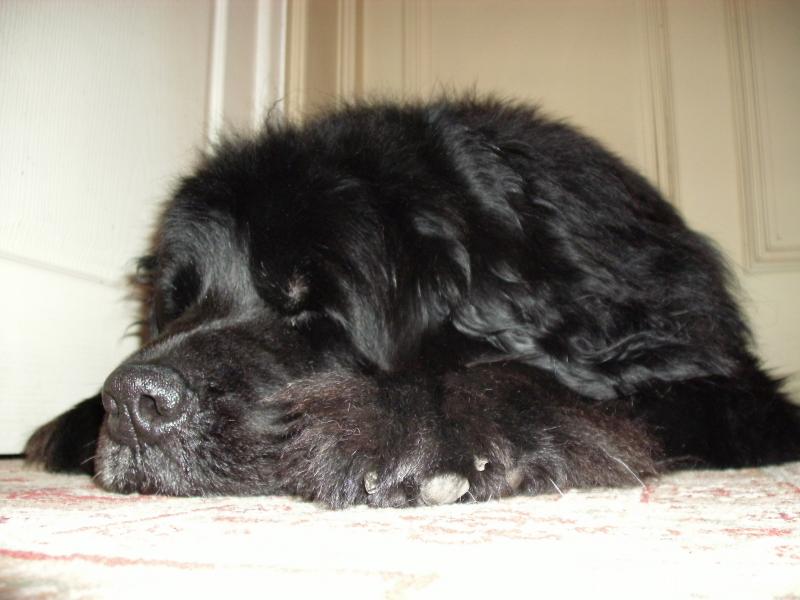 Oliver