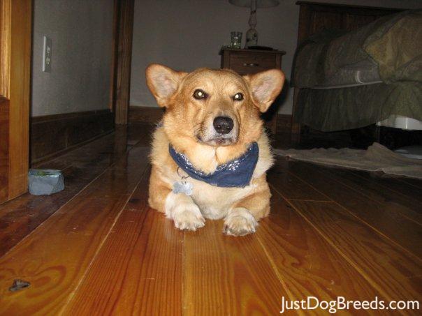 Winston