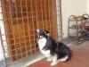 princy