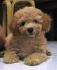 Edward