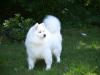 Breeze