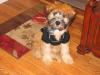 Duffy Finian Flinn