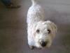 Harry