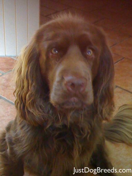 Benson