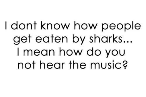 Quote Pictures Why people get eaten by sharks