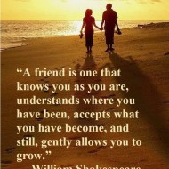 A friend is one that knows you as you are
