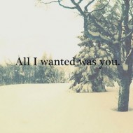 All I wanted is you