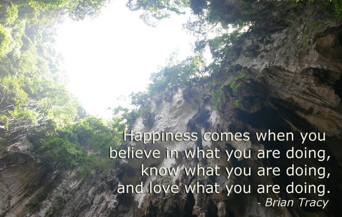 Brian Tracy - Happiness comes when you believe in what you are doing