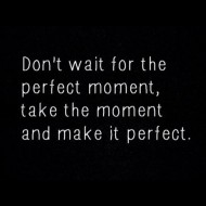 Don't wait for the perfect moment, take the moment and make it perfect