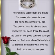 Friendship comes from the heart. Someone who accepts you for being the person you are