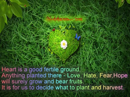 Heart is a good fertile ground