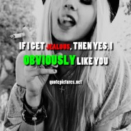 Tumblr Quotes If I get jealous, then yes, I obviously like you