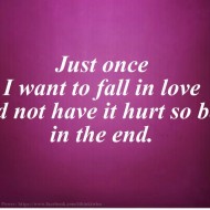 Just once I want to fall in love and not have it hurt so bad in the end