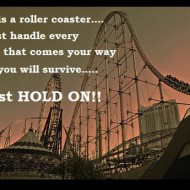 Life is a roller coaster, just handle every bump