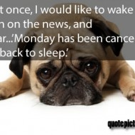Monday Quotes - Just once, I would like to wake up, turn on the news and hear Monday has been cancelled