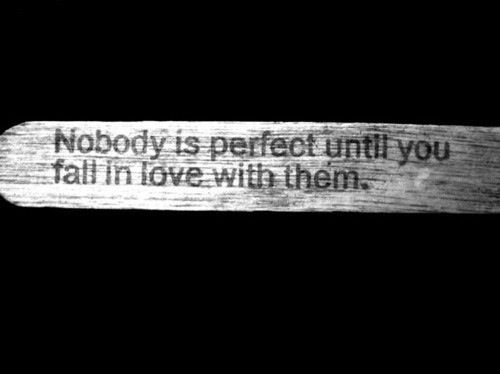 Nobody is perfect until you fall in love with them