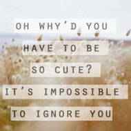 Oh why'd you have to be so cute