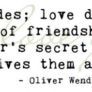 Oliver Wendell Holmes - Youth fades, love droops