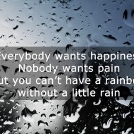 Quotes on rain - Everybody wants happiness, nobody wants pain